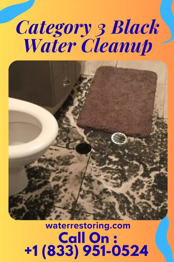 Category 3 Black Water Cleanup in Ladd, IL