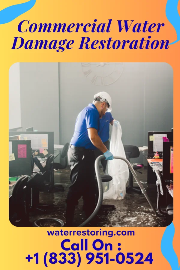 Commercial Water Damage Restoration in Ladd, IL