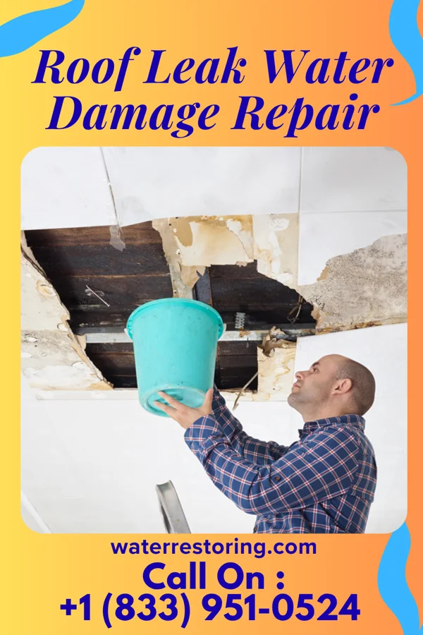 Roof Leak Water Damage Repair in Ladd, IL